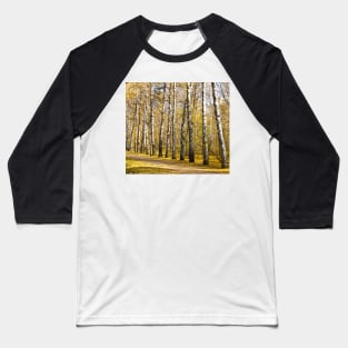 Birch alley in autumn Baseball T-Shirt